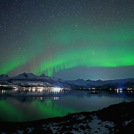 2. Etg I Dampskipsbrygga, Lodingen Havn Bagian luar foto